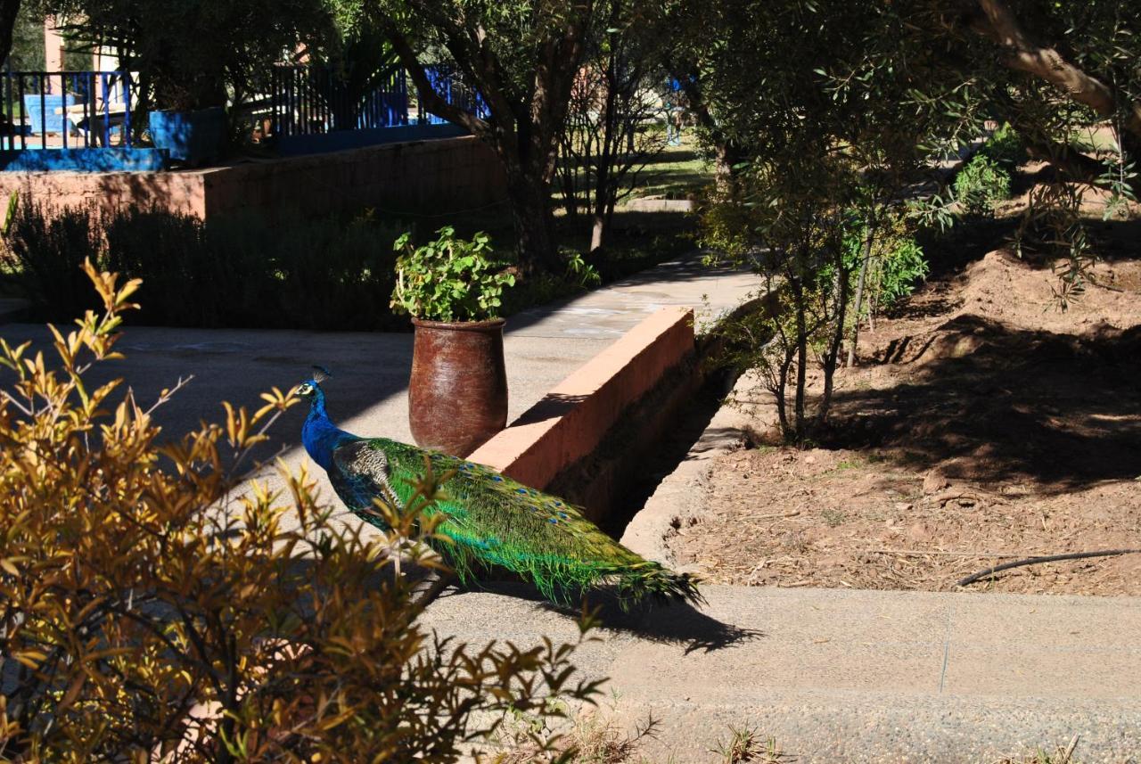 Sidi Abdallah Ghiat Guest House Qodwa מראה חיצוני תמונה
