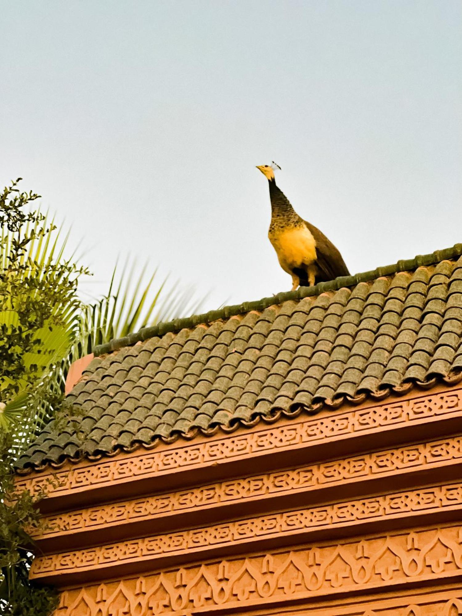 Sidi Abdallah Ghiat Guest House Qodwa מראה חיצוני תמונה